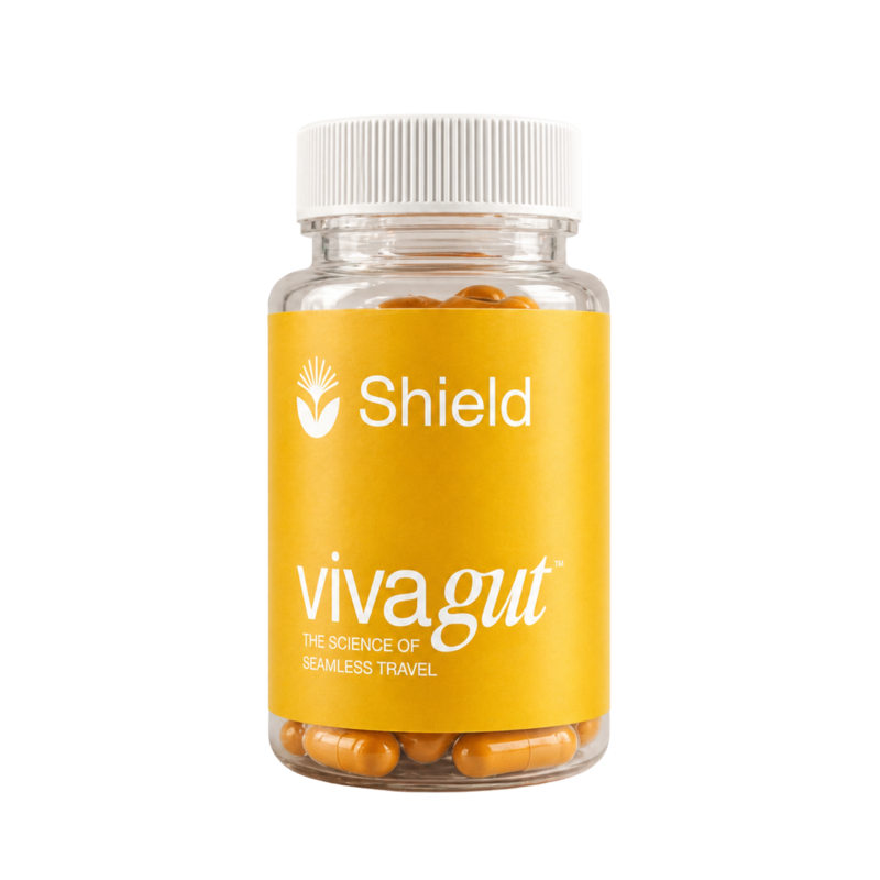 VIVAGUT System - 3-Phase Travel Gut System