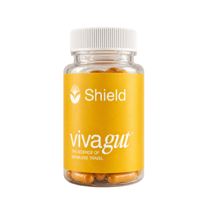 VIVAGUT System - 3-Phase Travel Gut System